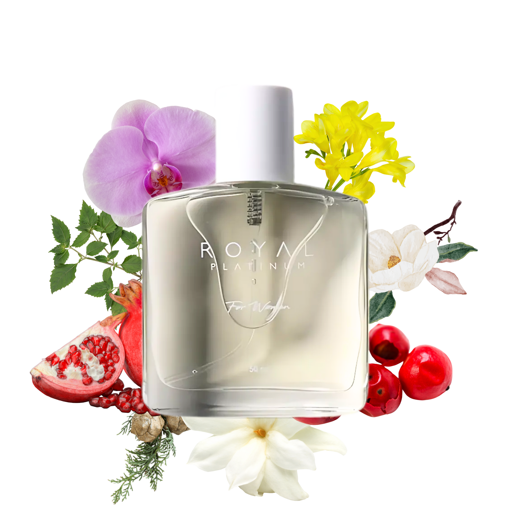 W428 Inspirerad av SHISEIDO - GINZA 50ml