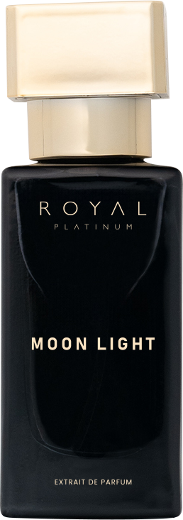 Moon Light Niche Perfume - 30 ML