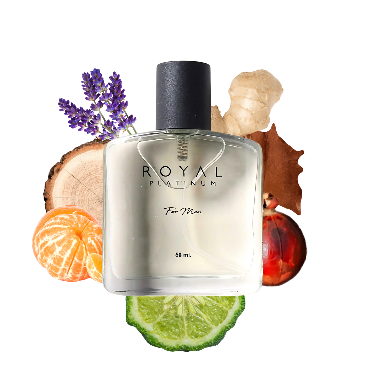 M584 Inspirerad av HUGO BOSS - THE SCENT 50ml