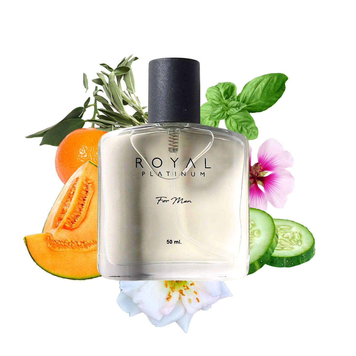 M651 Inspirerad av POLO - BLUE 50ml