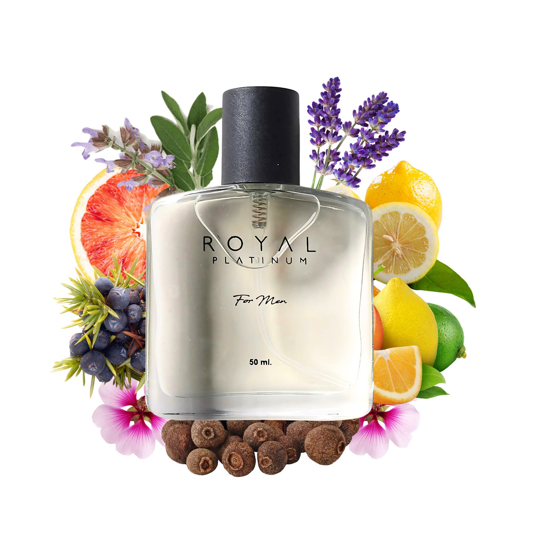 M731 Inspirerad av D&G - K 50ml